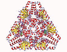 Model tridimensional al enzimei