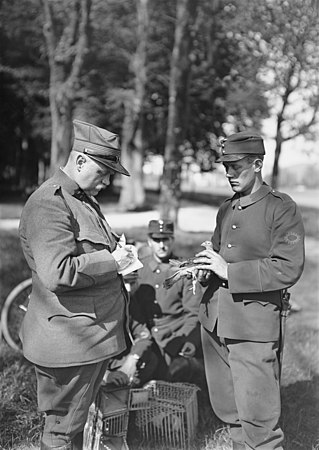 Swiss soldiers dispatching a message by carrier pigeon during World War I (Unknown photographer; restored by Adam Cuerden)