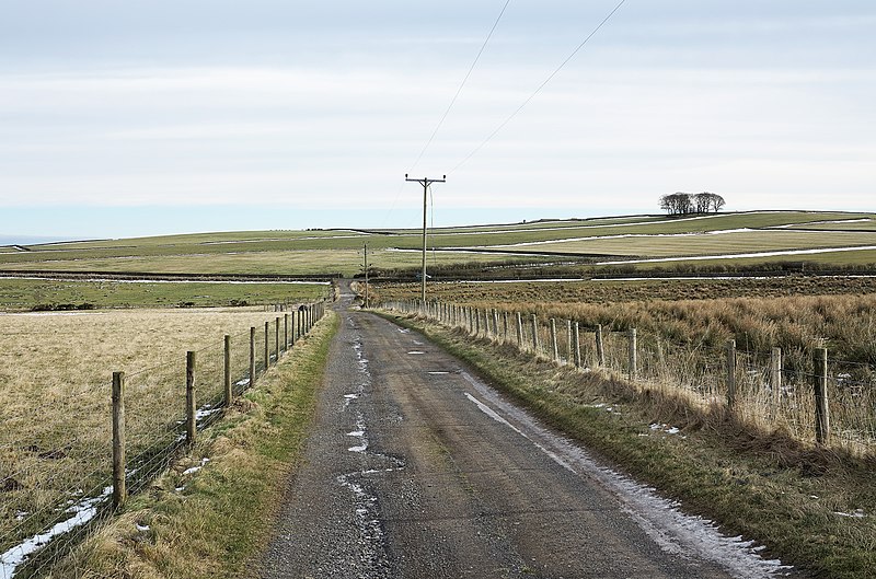 File:Access road for Job's Lodge - geograph.org.uk - 3323576.jpg