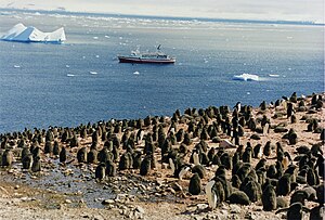 Антарктида: География, Земи и Брегове, История