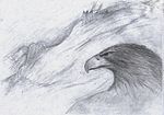 Vignette pour Aigle (Terre du Milieu)