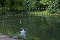 * Nomination Cove on Alum Creek Lake -- Sixflashphoto 02:42, 6 October 2017 (UTC) * Promotion Almost monochrome photo. I like the prevailing color of green. Good quality. -- Johann Jaritz 02:53, 6 October 2017 (UTC) And I didn't mess with the colors or the white balance. The light just was really working with me then -- Sixflashphoto 02:57, 6 October 2017 (UTC)  CommentYou did it very well. -- Johann Jaritz 04:34, 6 October 2017 (UTC)