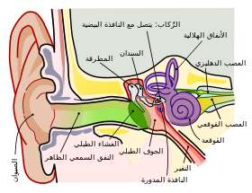 Anatomy of the Human Ear ar.svg