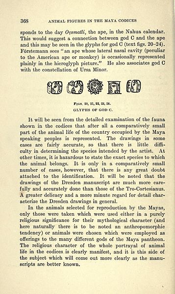 File:Animal figures in the Maya codices BHL41003913.jpg