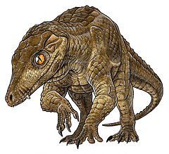 Araripesuchus patagonicus