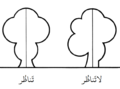 Arabic