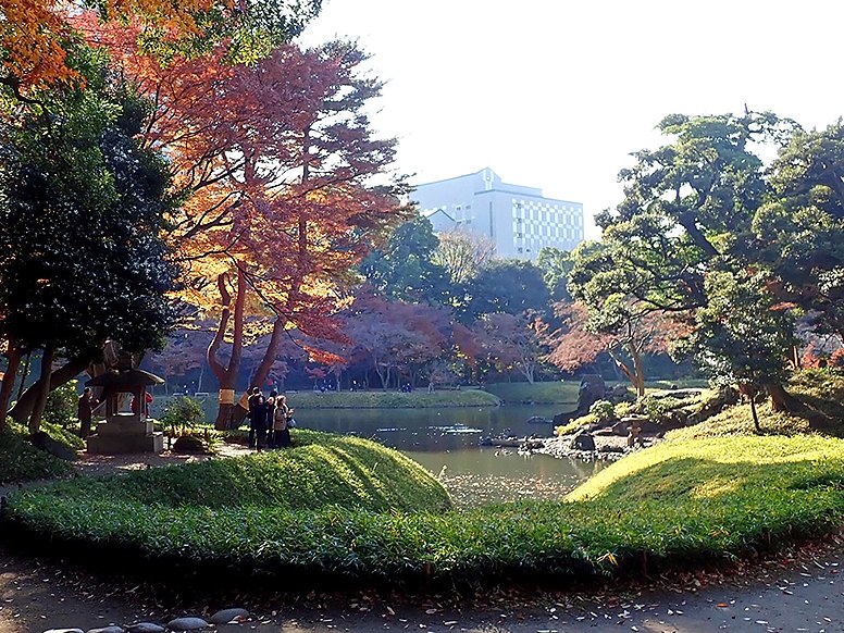 Autumn colours of leaves at Koishikawa Kourakuen IMG 3870