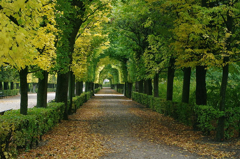File:Autumn in Schoenbrunn - Schöbrunn'da Sonbahar 04.JPG