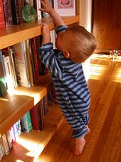 A baby stands on tiptoes to reach a book Baby on Tiptoes.jpg