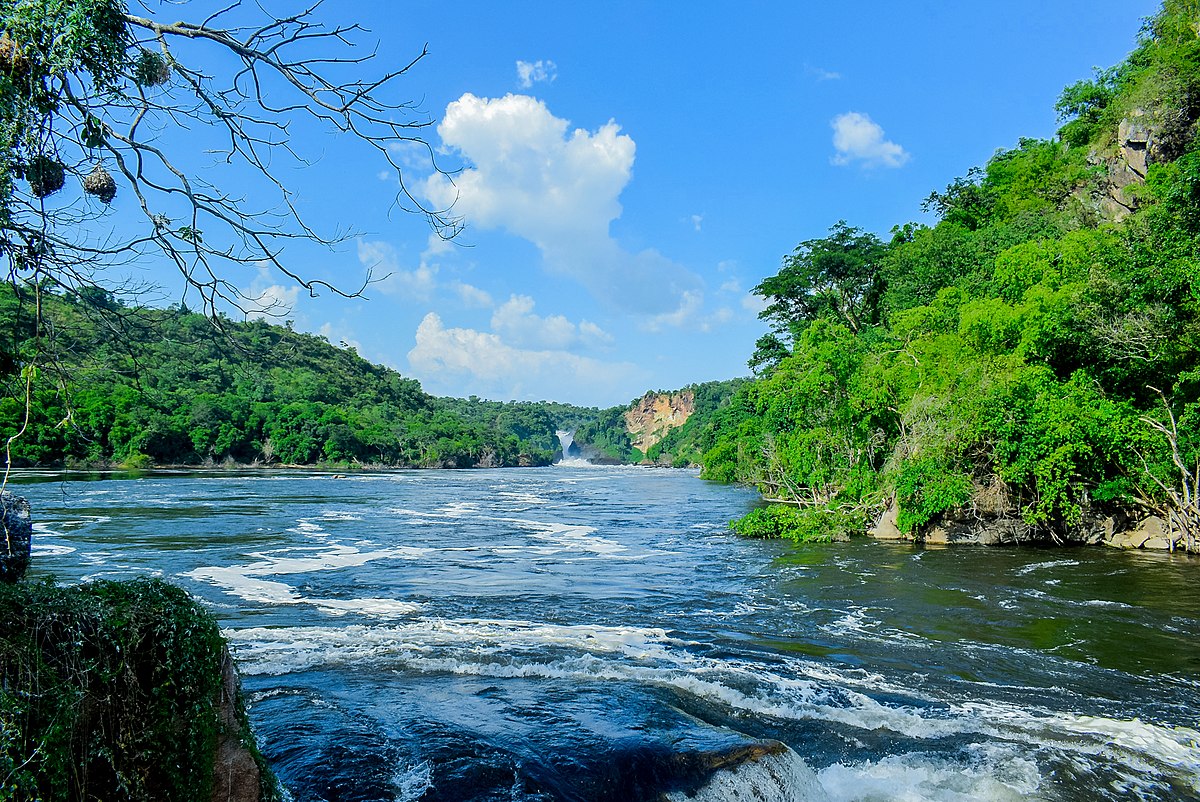 File:Beautiful nature along Nile River 01.jpg - Wikimedia Commons