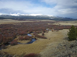 Upper Big Hole River near Jackson, Montana November 2008