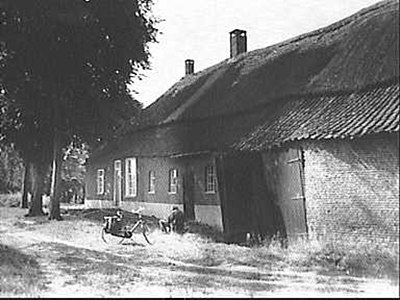 Oude Brabantse stijl boerderij, Lieshoutseweg, September 7, 1984