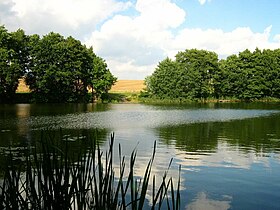 Illustrasjonsbilde av artikkelen Boock Lake