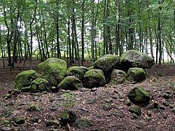 Borkowo - grób megalityczny 01.jpg
