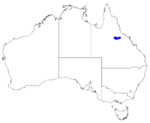 Boronia warangensis DistMap129.png