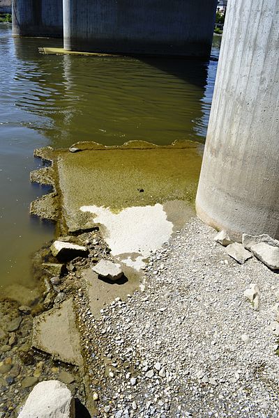 File:Brückenpfeilersockel - Donaubrücke (1).JPG