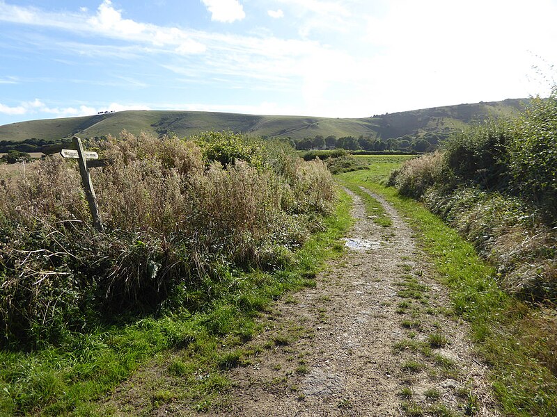 File:Bridleway with signpost and view of the downs - geograph.org.uk - 5137531.jpg