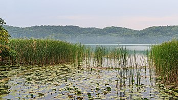 Schermützelsee, um lago em Buckow, distrito de Märkisch-Oderland, Brandemburgo, Alemanha. (definição 5 379 × 3 026)