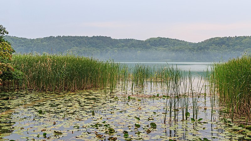 File:Buckow Maerkische Schweiz 08-2015 img5.jpg