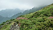 Thumbnail for File:Bulgaria - Balkan Mountains - Central Balkan - panoramio.jpg