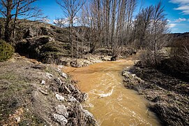 Río Burejo a su paso por Pisón.