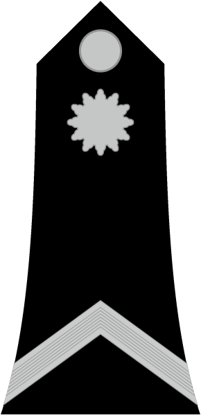 File:Burkinabe Gendarmerie OR-1.svg