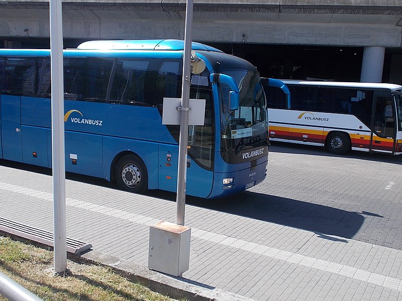 File:Busbahnhof, MAN Lion's (NCX-770), 2021 Istvánmező.jpg