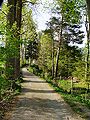 Der ehemalige Schulweg von Oberbuxach zur alten Schule, heute Moospointweg genannt. Rechts fließt die Buxach, links erhebt sich das Buxachtal.