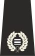 Speciala policistara ĉefdirektilisto Insigno