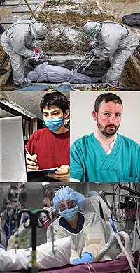 COVID-19 pandemic collage.jpg