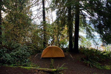 Camping site on the shores of Lake Quinault