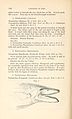 Catalogue of apodal fish in the ... Museum (Page 126) BHL8406255.jpg