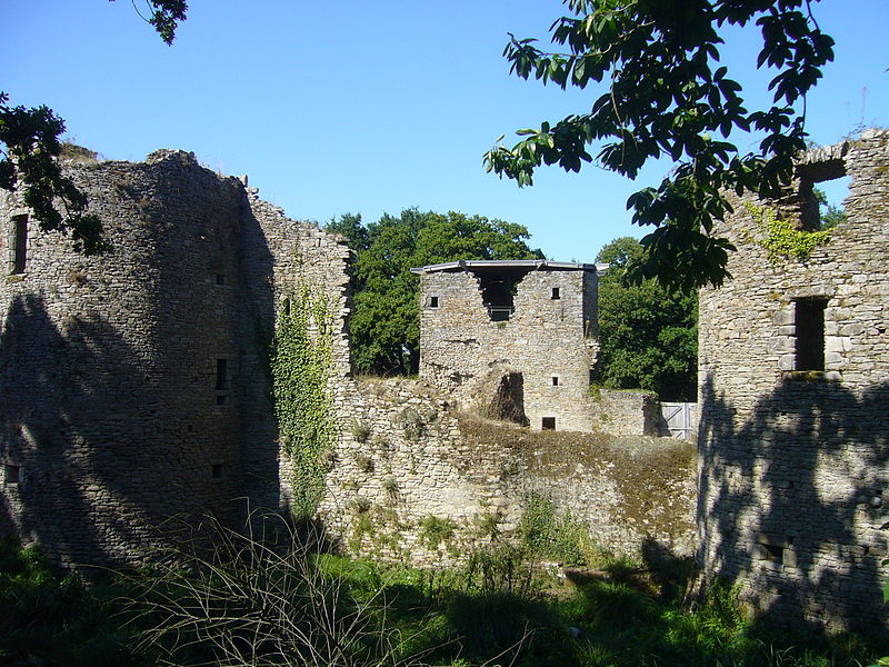 File:Château de Ranrouet tours et courtines.JPG