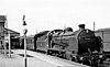 A train at Cheltenham Spa Malvern Road in 1959