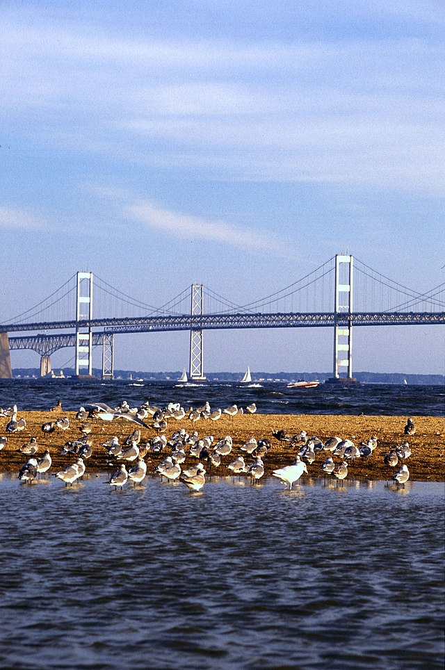 Die Chesapeake Bay Bridge