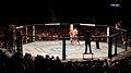 Мачовете за UFC се провеждат в осмоъгълна клетка, наречена „Октагон“