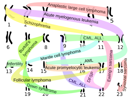 File:Chromosomal translocations.svg