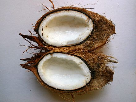 A split coconut