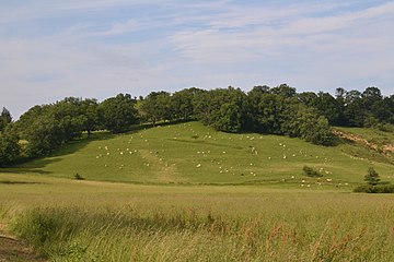 Archivo:Colline_de_Régat.jpg