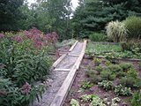 Perennial Gardens