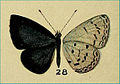 Thumbnail for version as of 18:18, 9 December 2011