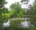 Schlosspark mit Teich