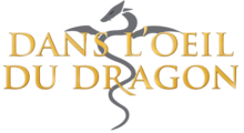 Dans l'oeil du dragon logo.png