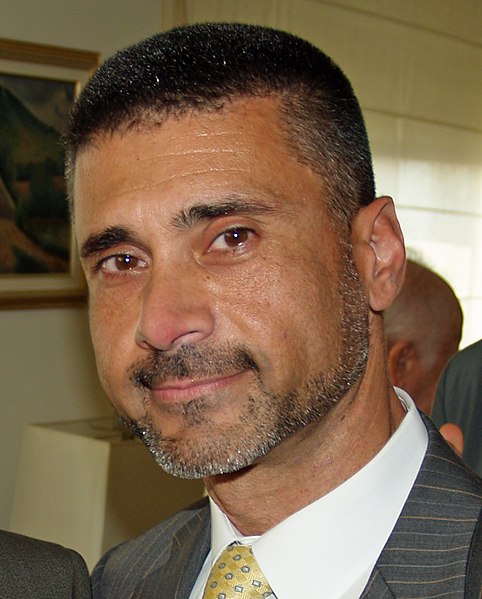 File:David Saranga (cropped).jpg