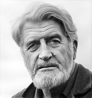 <span class="mw-page-title-main">Denis Johnston</span> Irish writer (1901-1984)