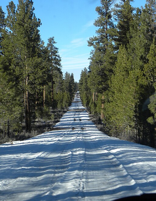 Deschutes National Forest, Oregon USA - Ice Cave Road - panoramio