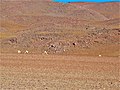 Desierto de Dalí Reserva nacional de fauna andina Eduardo Abaroa 04.jpg