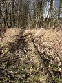 former rail track near Dohma (Trasse mit Gleisrest nahe Dohma)