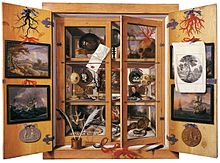 Cabinet of Curiosities, 1690s, Domenico Remps Domenico Remps - Cabinet of Curiosities.jpg