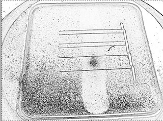 Solar cell efficiency Ratio of energy extracted from sunlight in solar cells